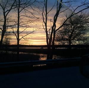 Meet your Posher, Dawn